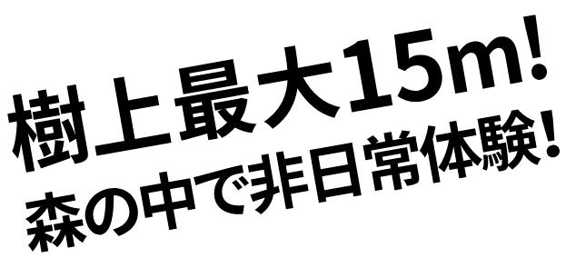 Forest Adventure 神戶六甲山挑戰從兒童到成人的全方位激動人心的競技 您可以享受 空中漫步 同時進行各種運動 例如田徑運動和滑梯